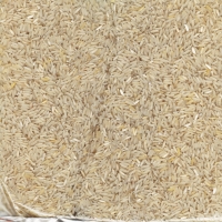 ~ 516,4MB Rice