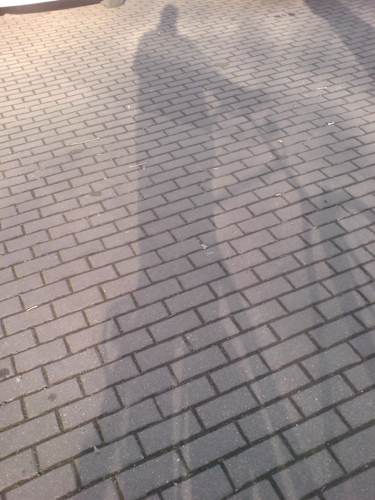 Zufallsbild